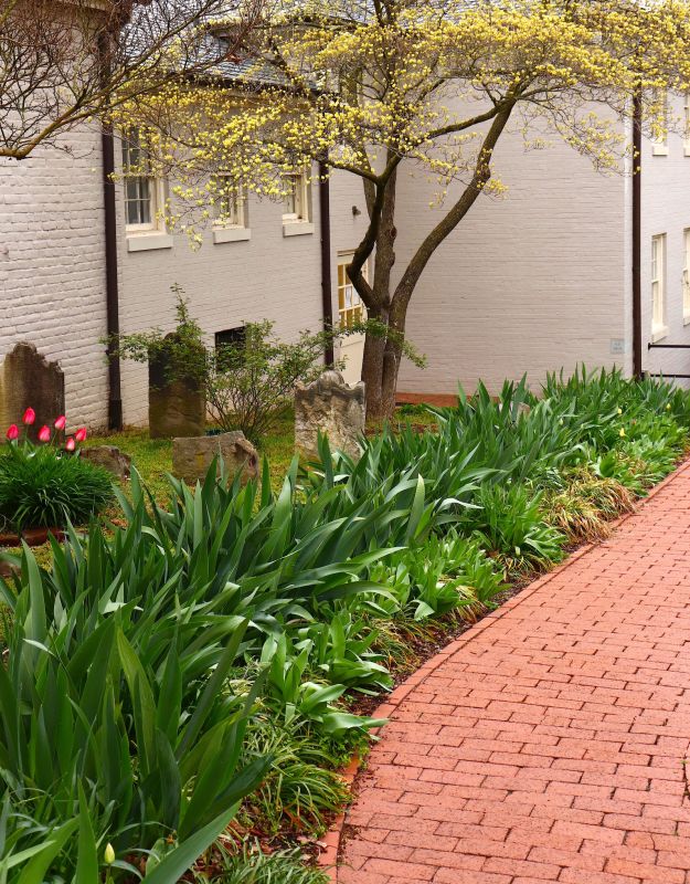 Brick Pathway Repair in Fort Worth, TX