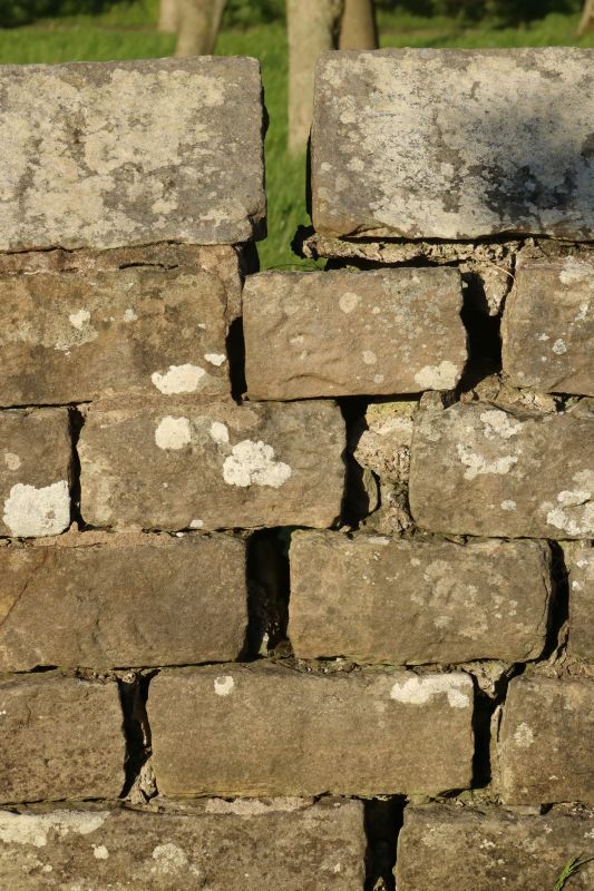 Stone Wall Repair in Joshua, TX